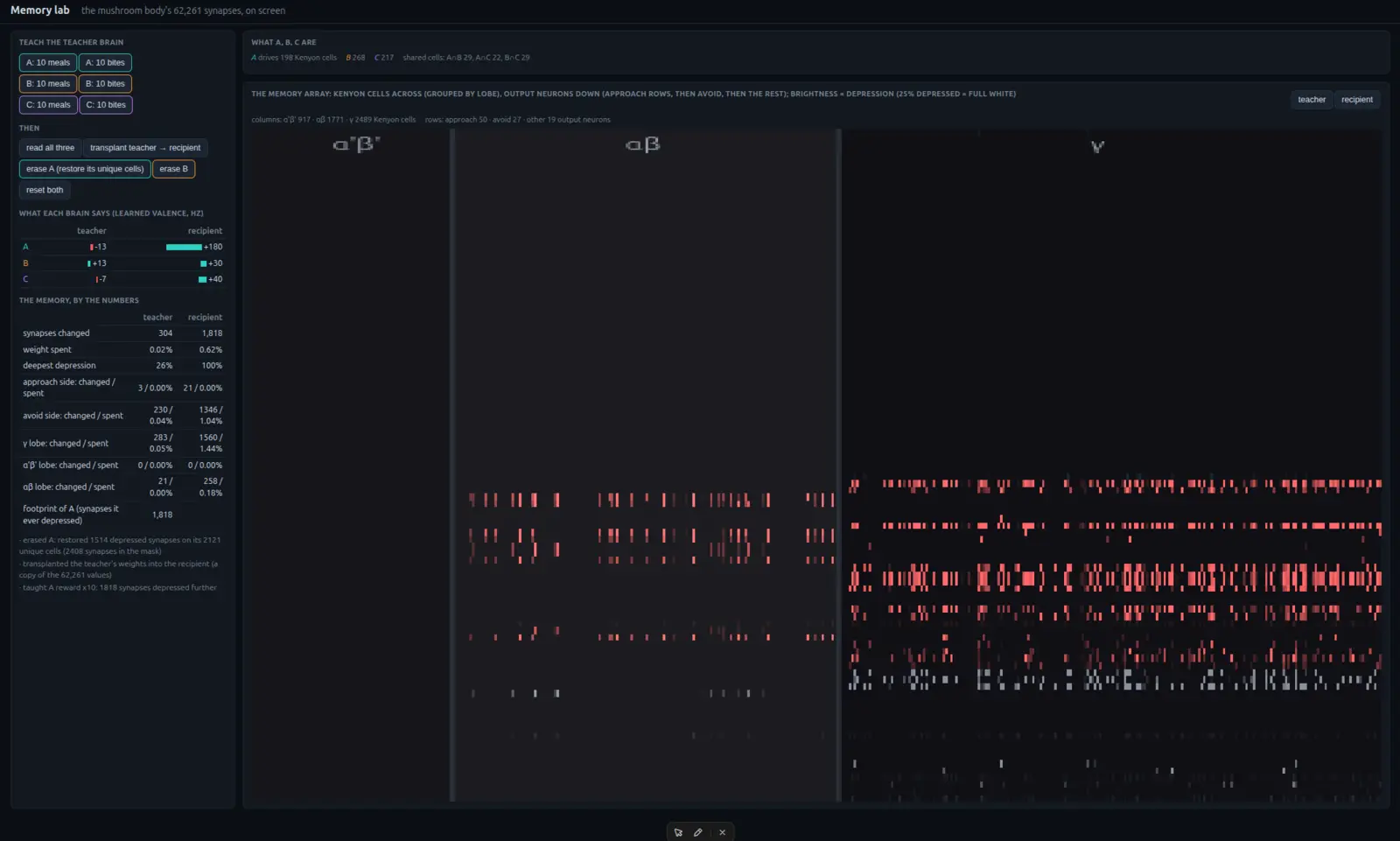 The memory lab: teach, read, transplant and erase controls beside the array of Kenyon-cell-to-output synapses.